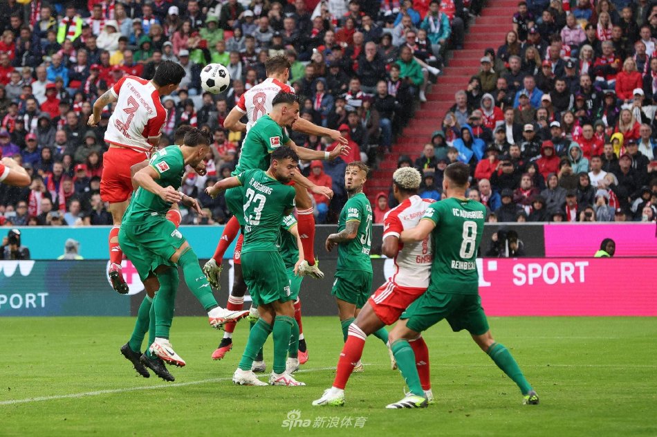 致力于年轻 致力于年轻