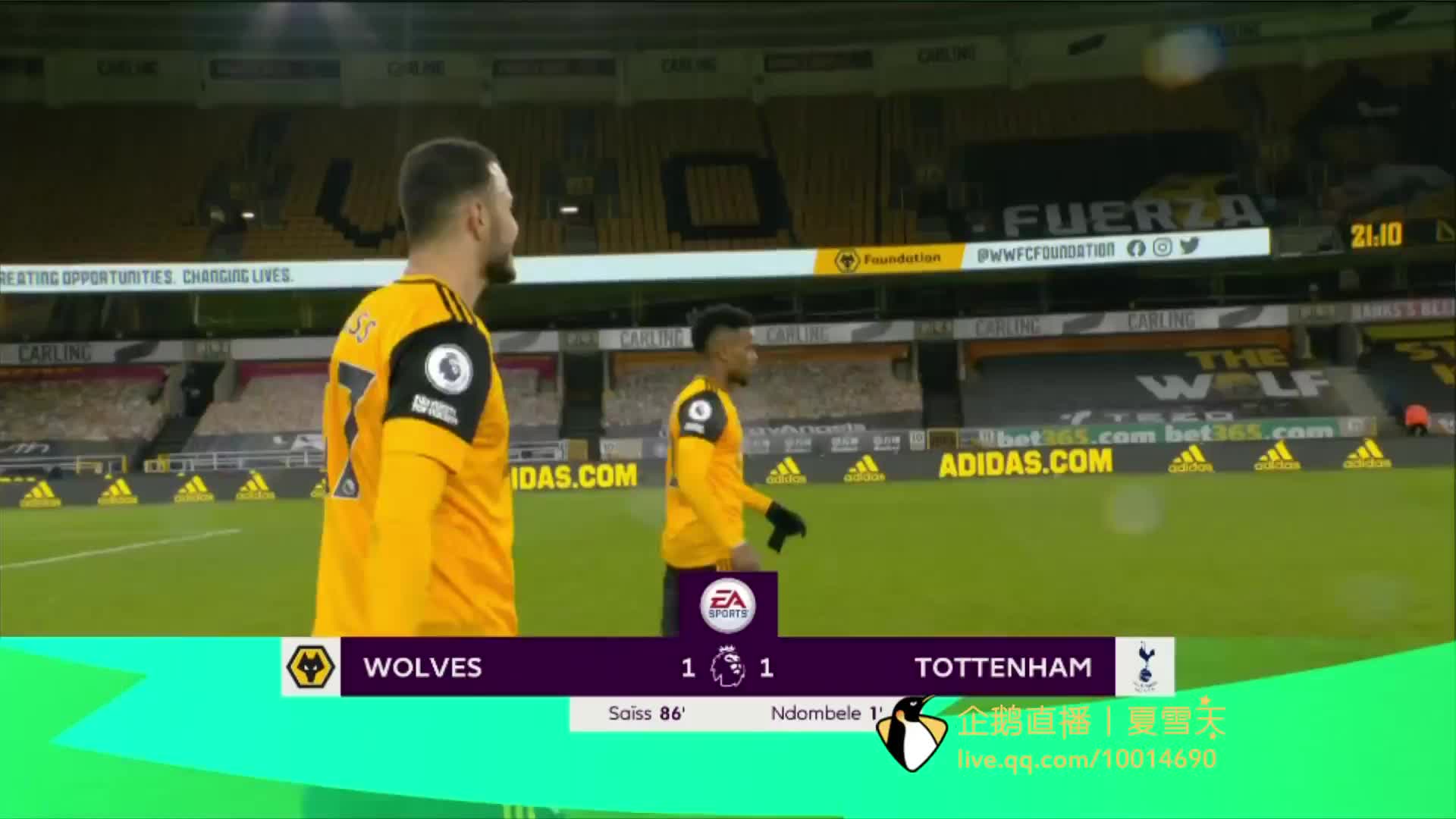 球迷之间的 球迷之间的