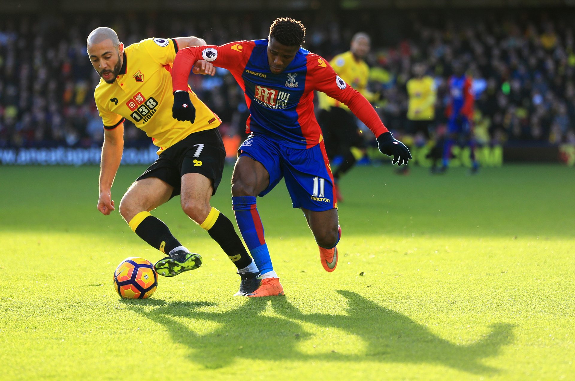 太阳队都将 太阳队都将